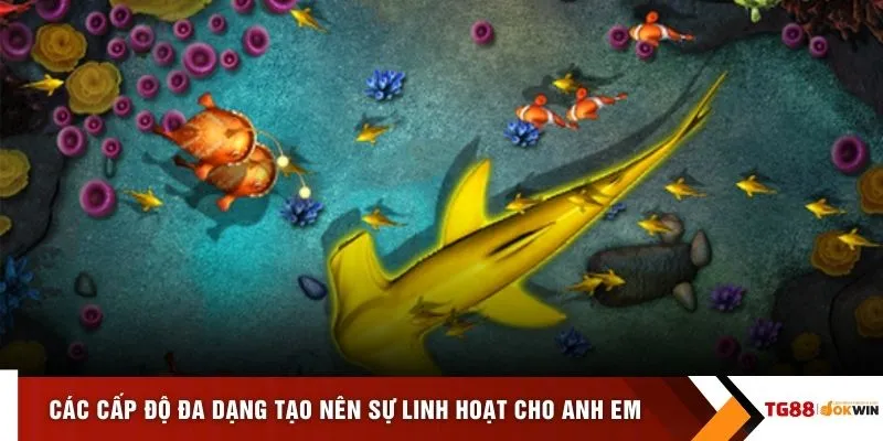 Các cấp độ đa dạng tạo nên sự linh hoạt cho anh em 